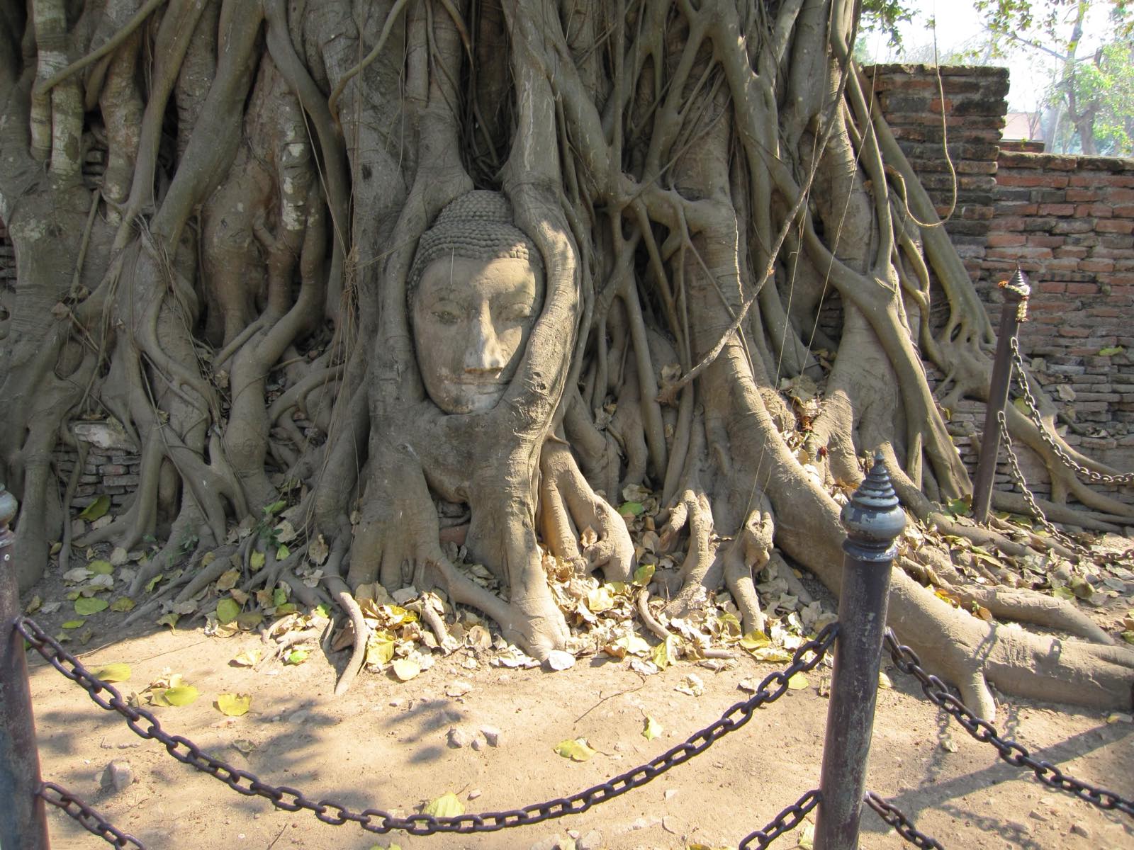 Ayutthaya — The Fallen Capital - Image 1
